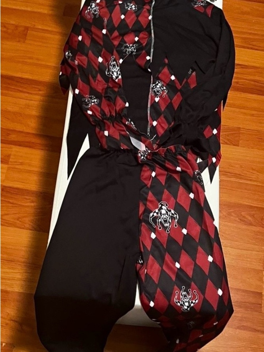 Kids Harlequin Jester Halloween Costume - Black and Red